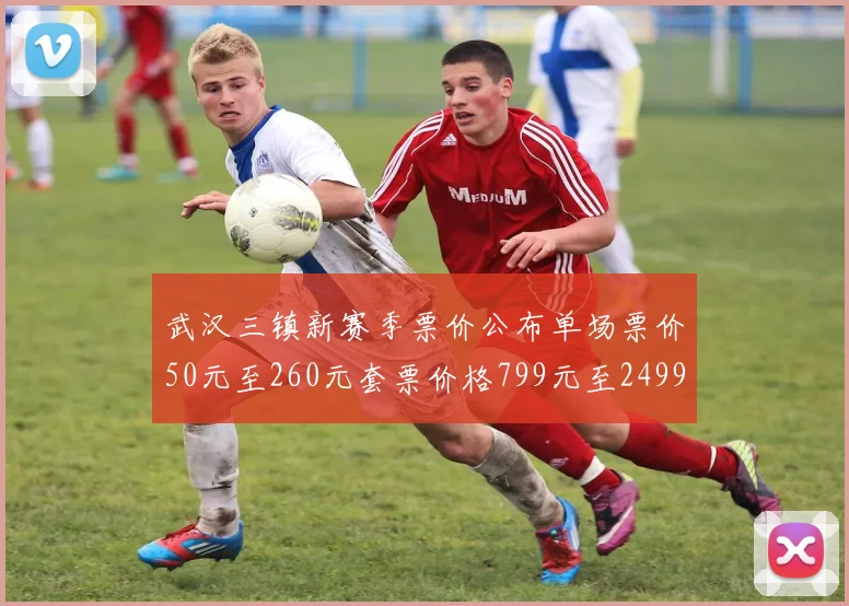 武汉三镇新赛季票价公布单场票价50元至260元套票价格799元至2499元